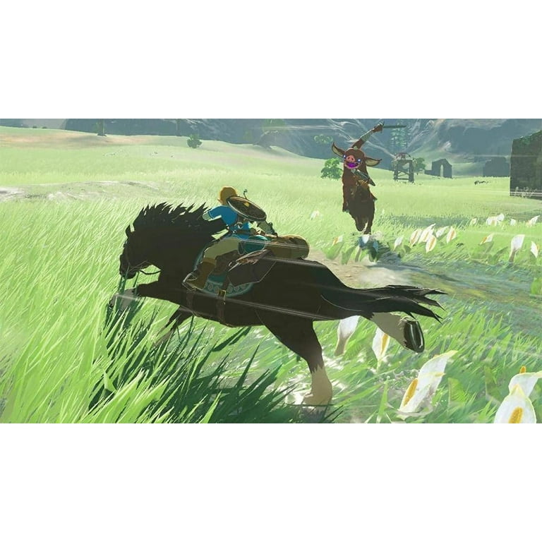 Nintendo Switch Lite 32GB Blue Edition and Legend of Zelda: Breath