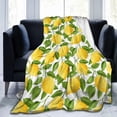 thumbnail image 6 of Lemon Print Blanket Flannel Fleece Fruits Throw Blankets Gift for Aldults Kids Bed Couch Sofa 80"X60", 6 of 6