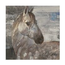 Trademark Fine Art 'Appaloosa' Canvas Art by Albena Hristova