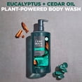 thumbnail image 3 of Dove Men+Care Body Wash to Rebuild Skin in the Shower Eucalyptus + Cedar Oil with Plant-Based Cleansers and Moisturizers, 26 oz, 3 of 10
