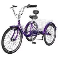 Rose purple