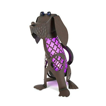 

15.5 In H Solar Lighted Dog