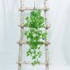 thumbnail image 4 of Planta verde artificial, planta de ratán verde, planta de rábano verde, cesta colgante de pared, orquídea colgante, planta falsa, vid colgante, hoja verde, flor decorativa de pared, 4 of 4