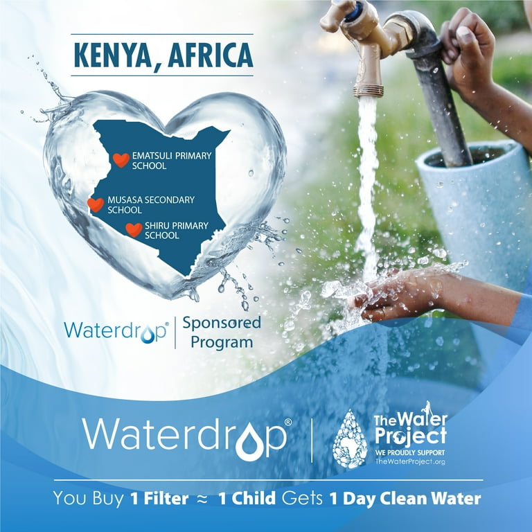 Waterdrop MWF Refrigerator Water Filter Replacement for GE