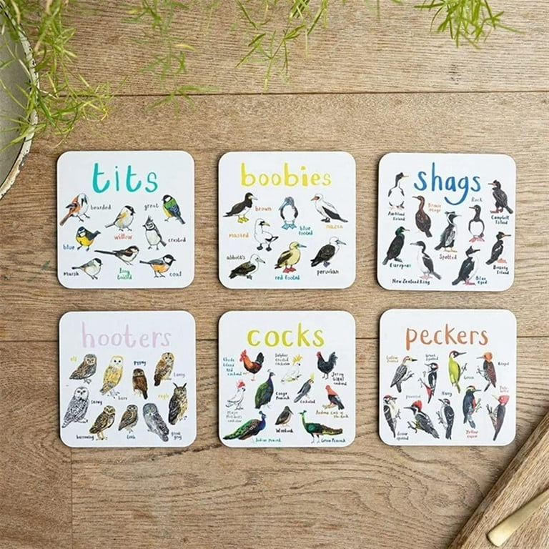 Bird Pun Coasters Funny Coasters for Drinks Coaster Set of 6Pcs