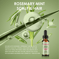 thumbnail image 2 of Scalp and Hair Massaging Oil, 1 Pack Volumizing, Rosemary Mint, Strengthens Hair, Nourishes Scalp, Natural Shine, 2 of 4