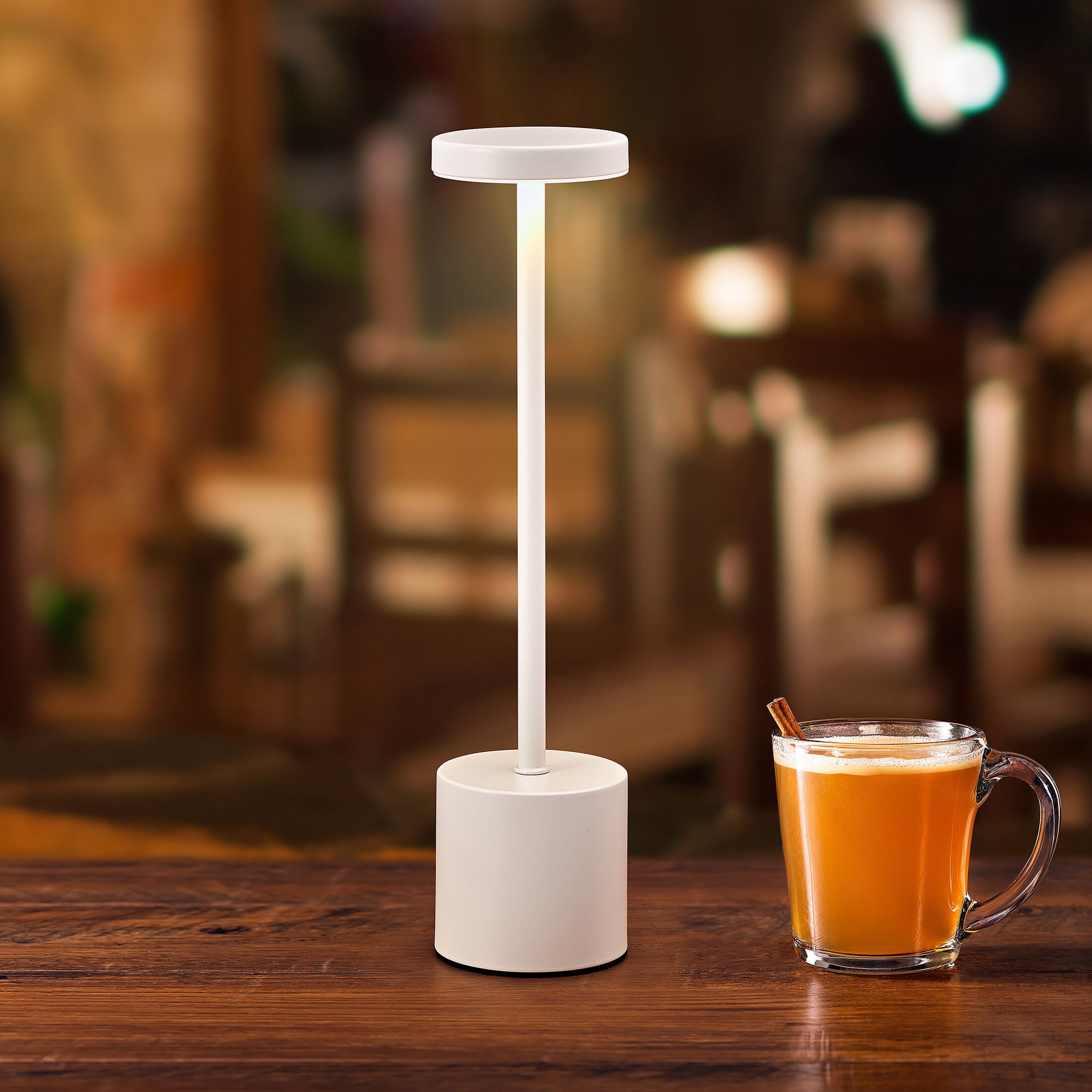 Home Accents 13.5 Inch LED Cordless Rechargeable Metal Table Lamp with Stepless Dimming, White