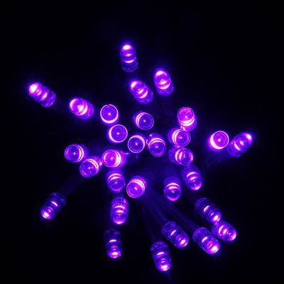 The Perfect Company 30 LED String Light Battery Operated - Purple