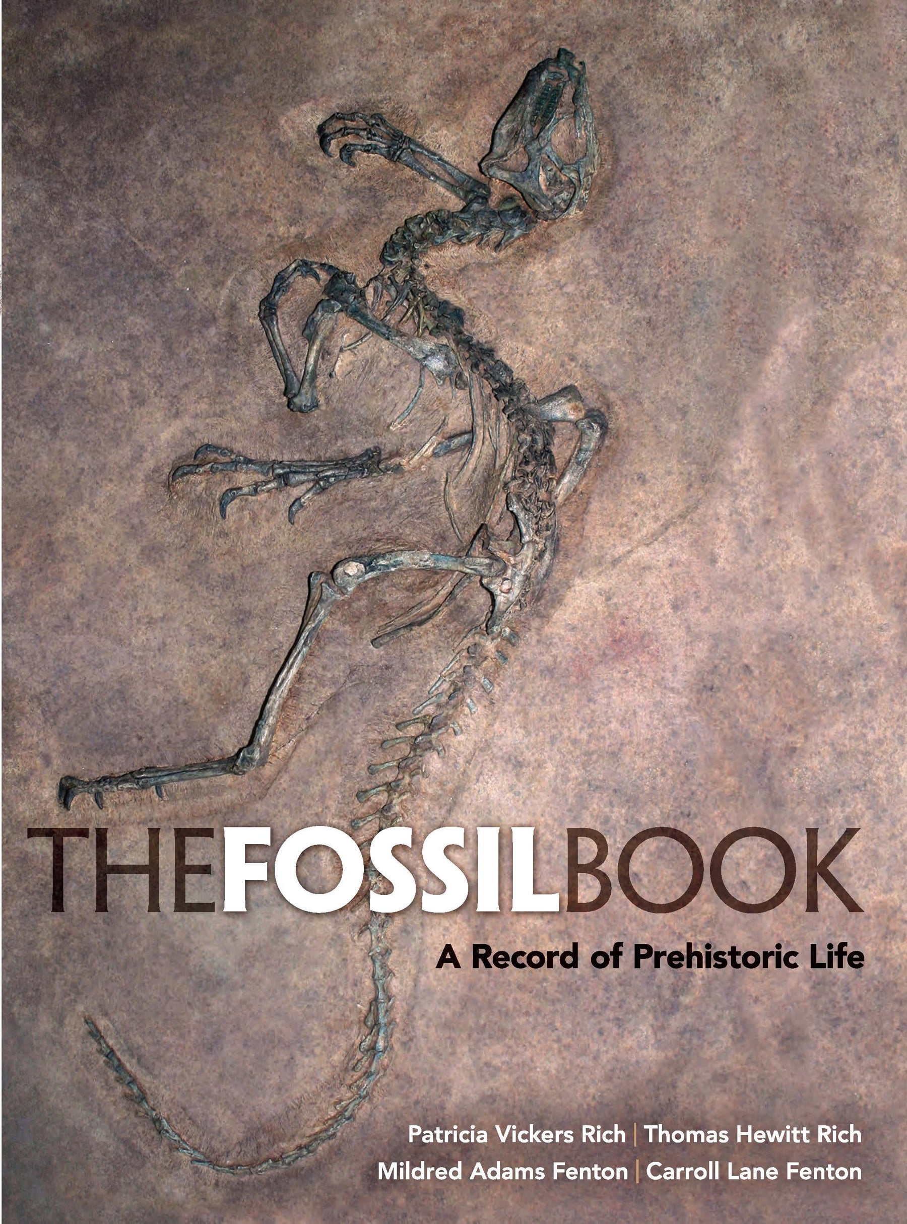 The Fossil Book (Paperback)