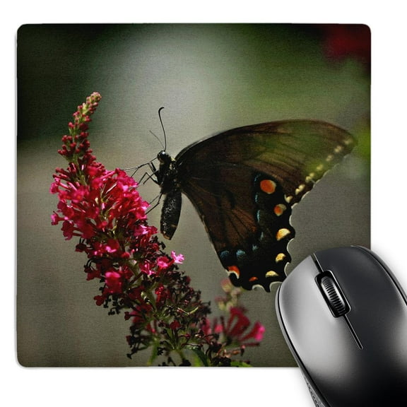 3dRose, Photograph of a spicebush swallowtail pollinating a butterfly bush., MousePad