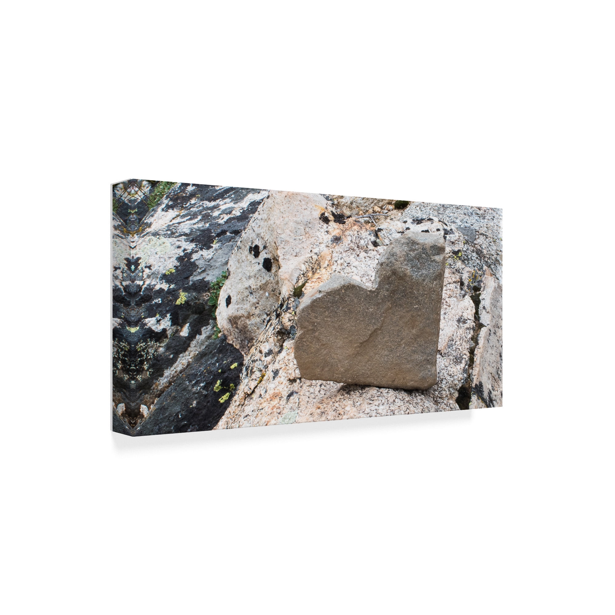 Trademark Fine Art 'Love Rocks' Canvas Art by Brenda Petrella Photography Llc
