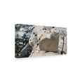 thumbnail image 2 of Trademark Fine Art 'Love Rocks' Canvas Art by Brenda Petrella Photography Llc, 2 of 3