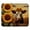 Multicolor 3, variant on PhooArto Comfortable Mouse Pad Flowers Sunflower Raccoon Desktop Mousepad , 21 x 25 cm Mouse Mat, Non-Slip Rubber Base, Improves Speed and Precision
