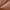 Rust Orange, Brown, variant on Nestl Twin Sheet Sets, 1800 Series Deep Pocket 3 Piece, Soft Microfiber Kids Bedding Set, NAVY BLUE sheets