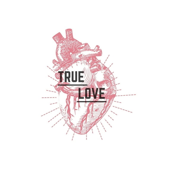 true love (Paperback)