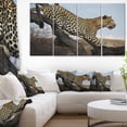 thumbnail image 1 of Leopard Walking on Tree - African Canvas Art Print, 1 of 3