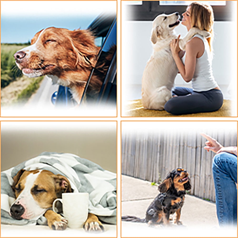 PTSPLLMY Langsprit Washable Female Dog Diapers (3 Pack) - No Leak Reusable Diapers for Doggy Female in Period - Highly Absorbent Dog Heat Panties with Adjustable Snaps