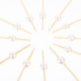 thumbnail image 4 of 100Pcs Cocktail Picks Fruits Toothpicks Appetizer Toothpicks Fruit Picks for Sandwiches Snacks, 4 of 9