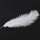thumbnail image 4 of 80 Piezas Avestruz Natural Pluma 20-25cm Boda DIY, 4 of 5