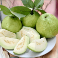 thumbnail image 5 of White Guava Plant Live, Sweet Tropical Fruit Tree, 10 inches Tall in 4 inch Pot for Growing, 5 of 5