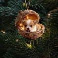 thumbnail image 5 of LED Lighted Corgi Puppy in Acorn Hanging Ornament, Resin Christmas Tree Decoration with Warm Fairy Lights, Cute Animal Decor for Holiday Tree, Mantel and Gift Giving, 5 of 5