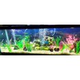thumbnail image 5 of Ceramic Shelters, 2 pcs, Fish Tank Accessories, Fish House, 5 of 5