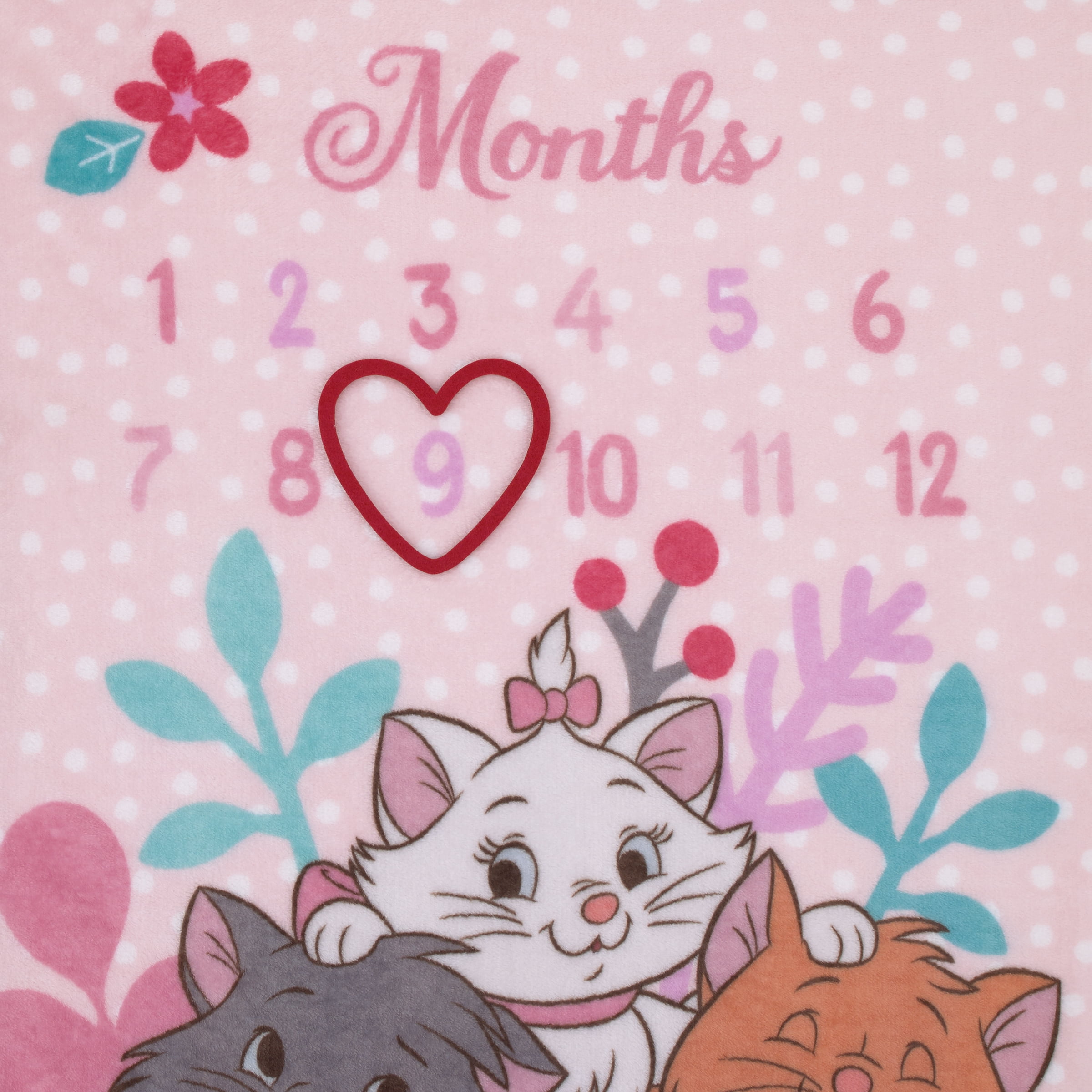 Disney Aristocats Photo Op Milestone Baby Blanket