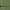 Green Leaf, variant on Free Assembly Men’s Utility Jacket, Sizes XS-3XL