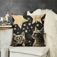 thumbnail image 2 of Inspirational Throw Pillow Cushion Cover, Cat and Dog Silhouettes with Friendship Themed Phrase and Stars Grungy Display, Decorative Square Accent Pillow Case, , Black Tan, 2 of 5