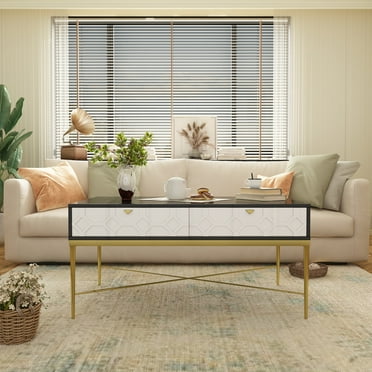Clihome  Modern Storage Accent Coffee Table with 2 Drawers