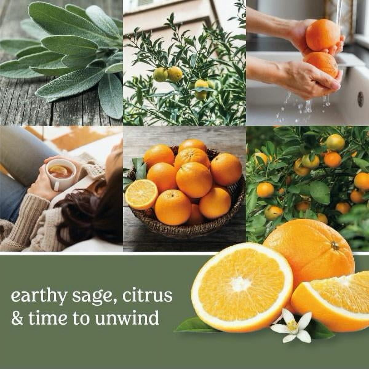 Yankee Candle Small Tumbler Scented Single Wick Jar Candle, Sage & Citrus, 4.3 oz (Pack of 2)
