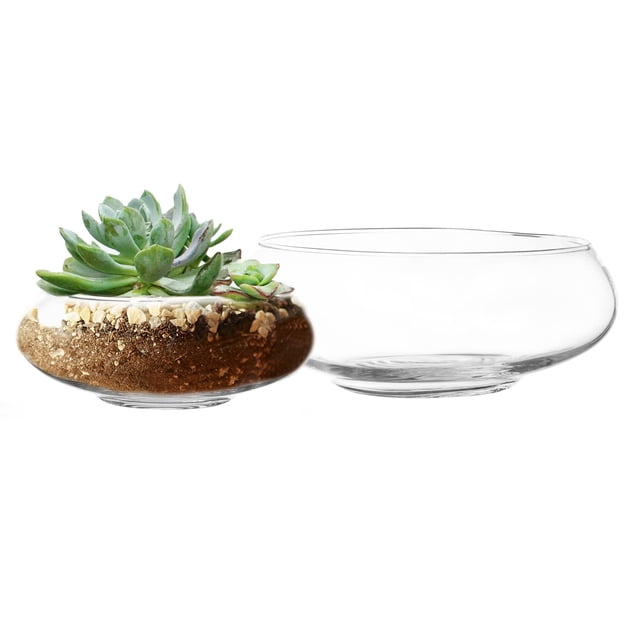 Set de jarrones de cristal Royal Imports redondos decorativos transparentes (2)