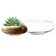 thumbnail image 1 of Set de jarrones de cristal Royal Imports redondos decorativos transparentes (2), 1 of 7