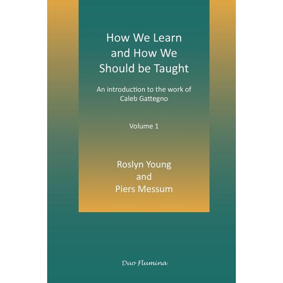 How We Learn and How We Should Be Taught (Paperback)