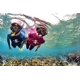 thumbnail image 2 of Snorkel SCUBAPRO Spectra Dry con válvula de purga, transparente y blanco, 2 of 6
