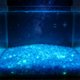 thumbnail image 4 of Arena que brilla en la oscuridad para paisajismo de acuarios: grava fluorescente para la decoración de bordes de jarrones, piedras luminosas para el sustrato de peceras, decoración del hogar., 4 of 6