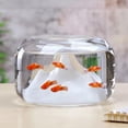 thumbnail image 4 of Bol à Poissons en Verre Aquarium Réservoir Poisson Rouge Petite Betta Jardin, 4 of 8