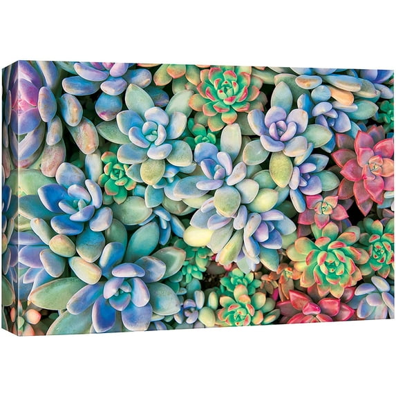 IDEA4WALL Canvas Wall Art Bouquet of Red, Purple and Green Small Lily Pad Aeonium Cactus Botanical Succulent Digital Art Realism Farmhouse/Country Colorful for Living Room, Bedroom, Office - 12"x18"