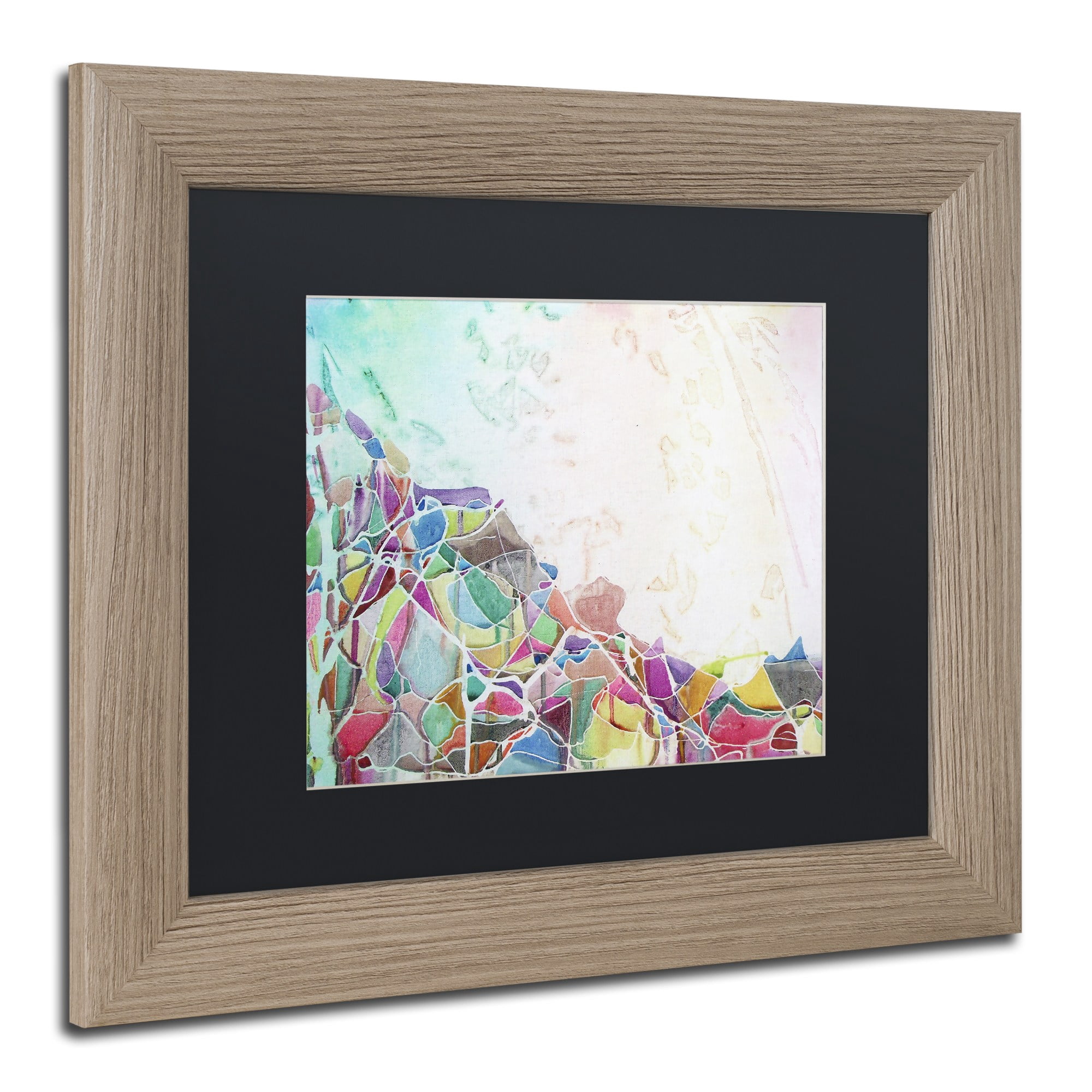Trademark Fine Art "Popocatepetl II" Canvas Art by Lauren Moss Black Matte, Birch Frame