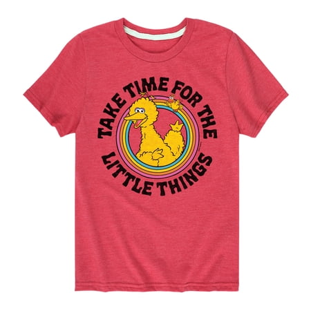 Sesame Street - Take Time For The Little Things - Toddler and Youth Short Sleeve Graphic T-Shirt