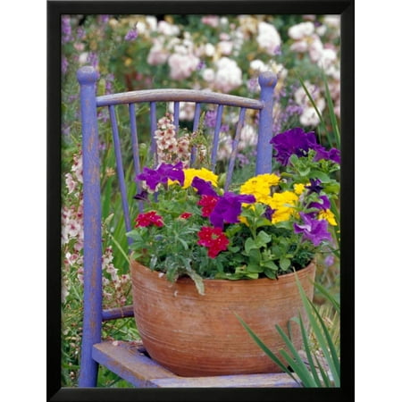 Mixed Flowers And Old Chair Seattle Washington Usa Framed Print Wall Art By Terry Eggers