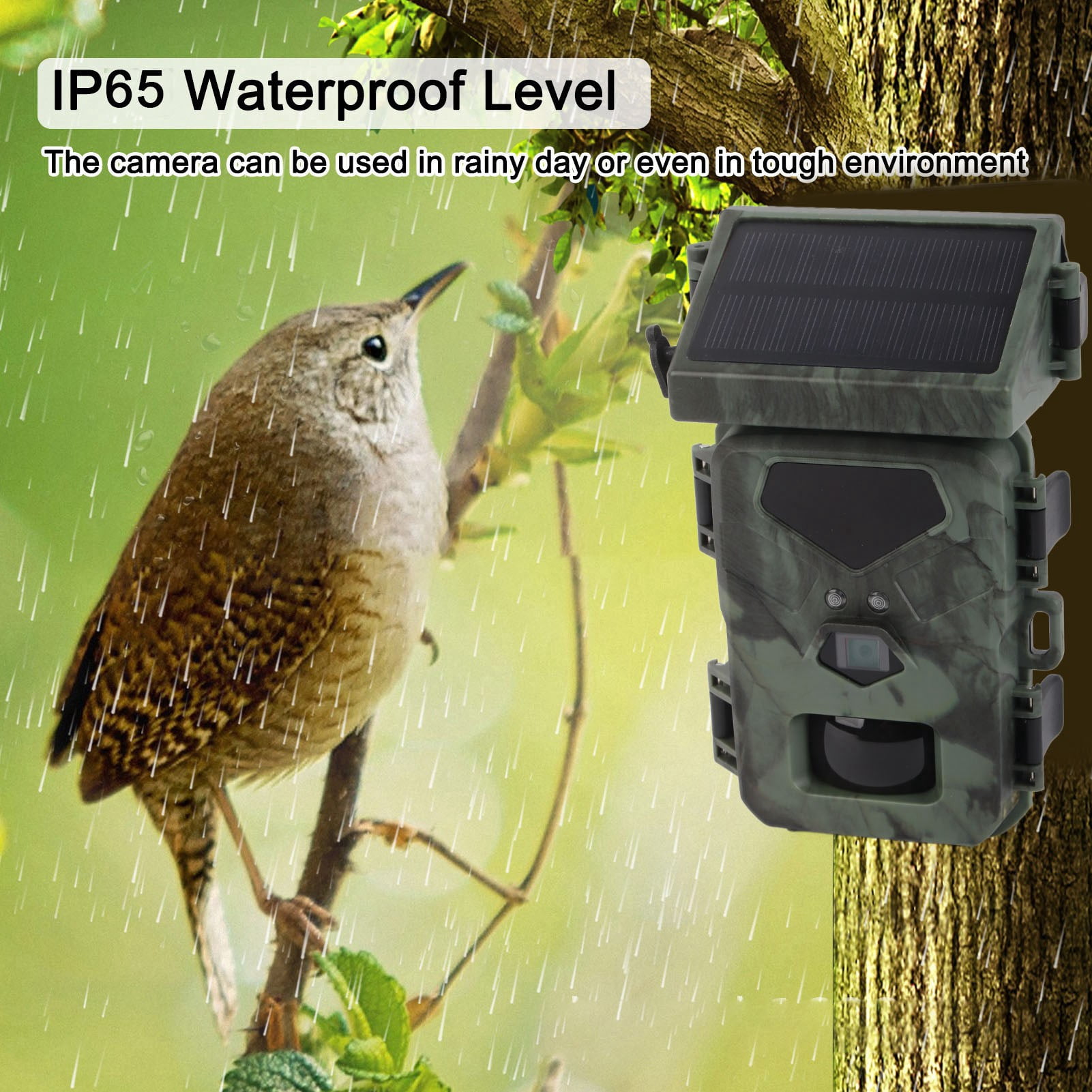 Trail Camera IR Night Vision Waterproof HD Solar Powered Deer for Outdoor Wildlife Monitoring