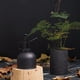 thumbnail image 5 of Regadera de Acero Inoxidable, Diseño Ergonómico para Rociar Fácilmente, Duradera y Resistente a Rayones, Perfecta para Plantas de Interior y Suculentas, Elegante En Dorado, Negro o Oro Rosa, Capacida, 5 of 5