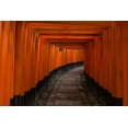 thumbnail image 2 of Majewski, Pawel 24x17 White Modern Wood Framed Museum Art Print Titled - Untitled, 2 of 4