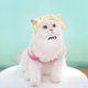 thumbnail image 1 of Sombrero parasol para perros y gatos con protección auditiva y hebilla de cuerda ajustable, sombrero de pescador, suministros para mascotas, sombrero para gatos, 1 of 6