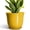 Light Yellow, variant on 12 inch Extra Large Plant Pots, Round Ceramic Planter with Drainage for Indoor Trees & Tall Plants, Modern Housewarming Gift, Blue Glaze
