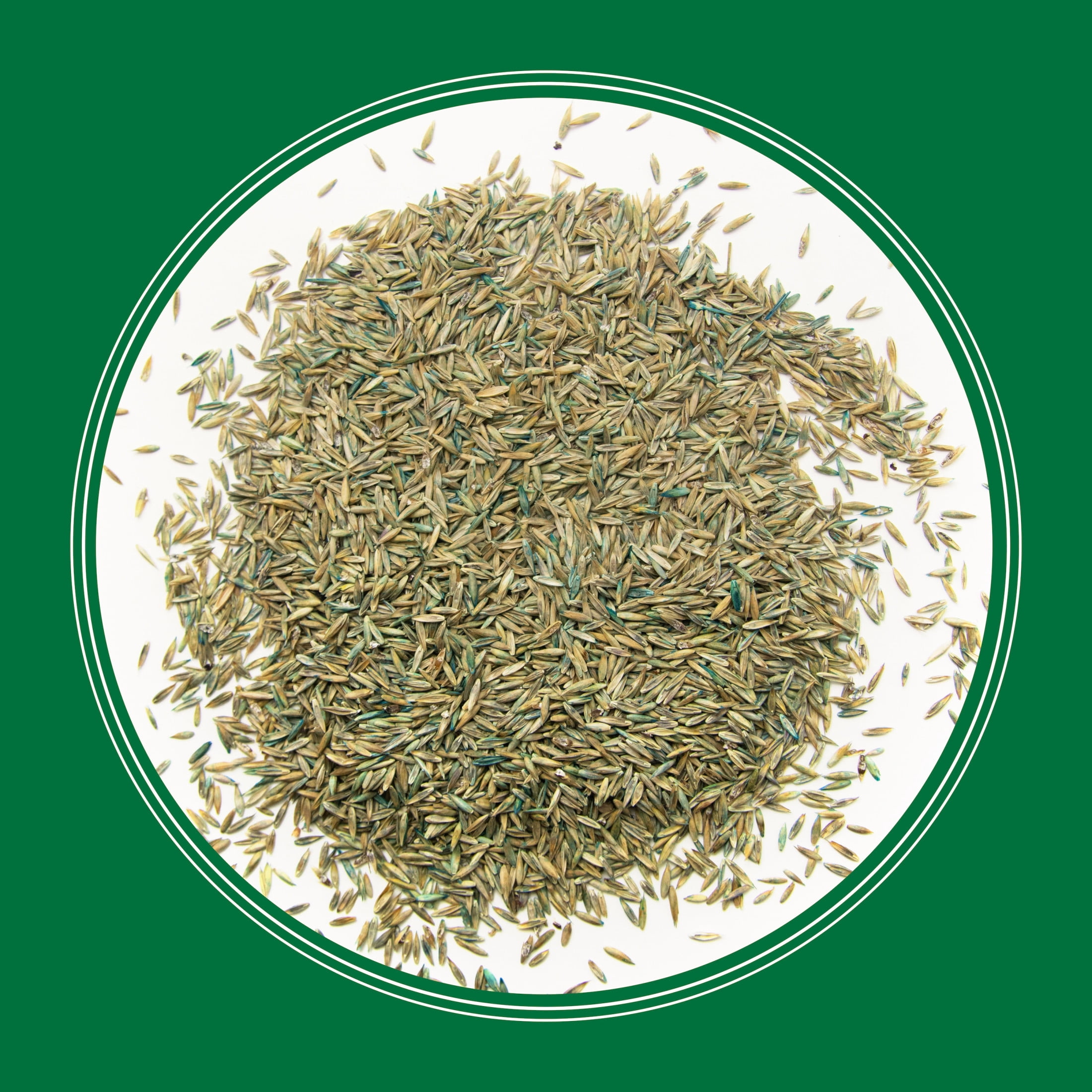 Pennington Smart Seed Professional Grass Seed Tri-Fescue Tall Fescue 50 lb