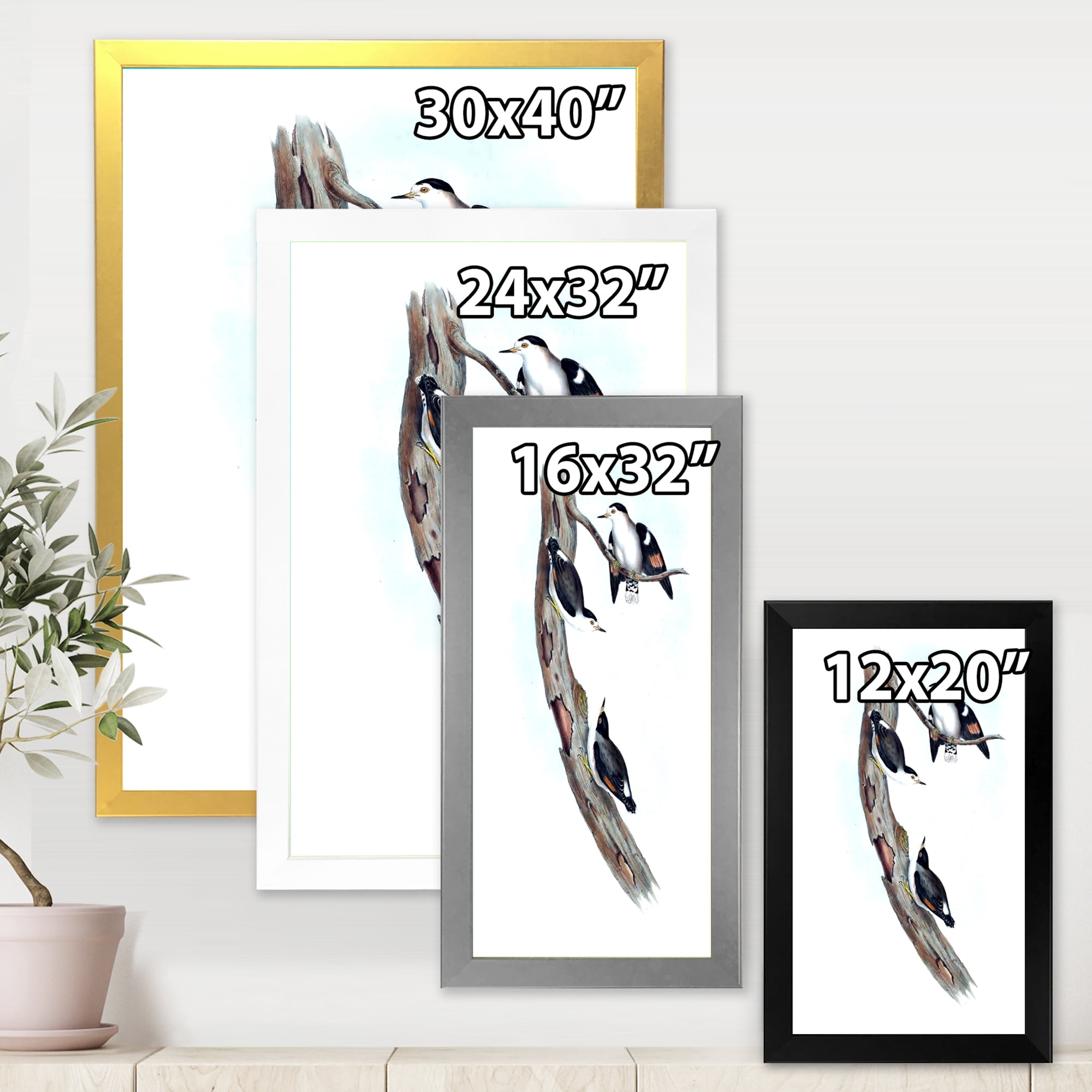Designart 'Ancient Australian Bird Illustrations I' Traditional Framed Art Print