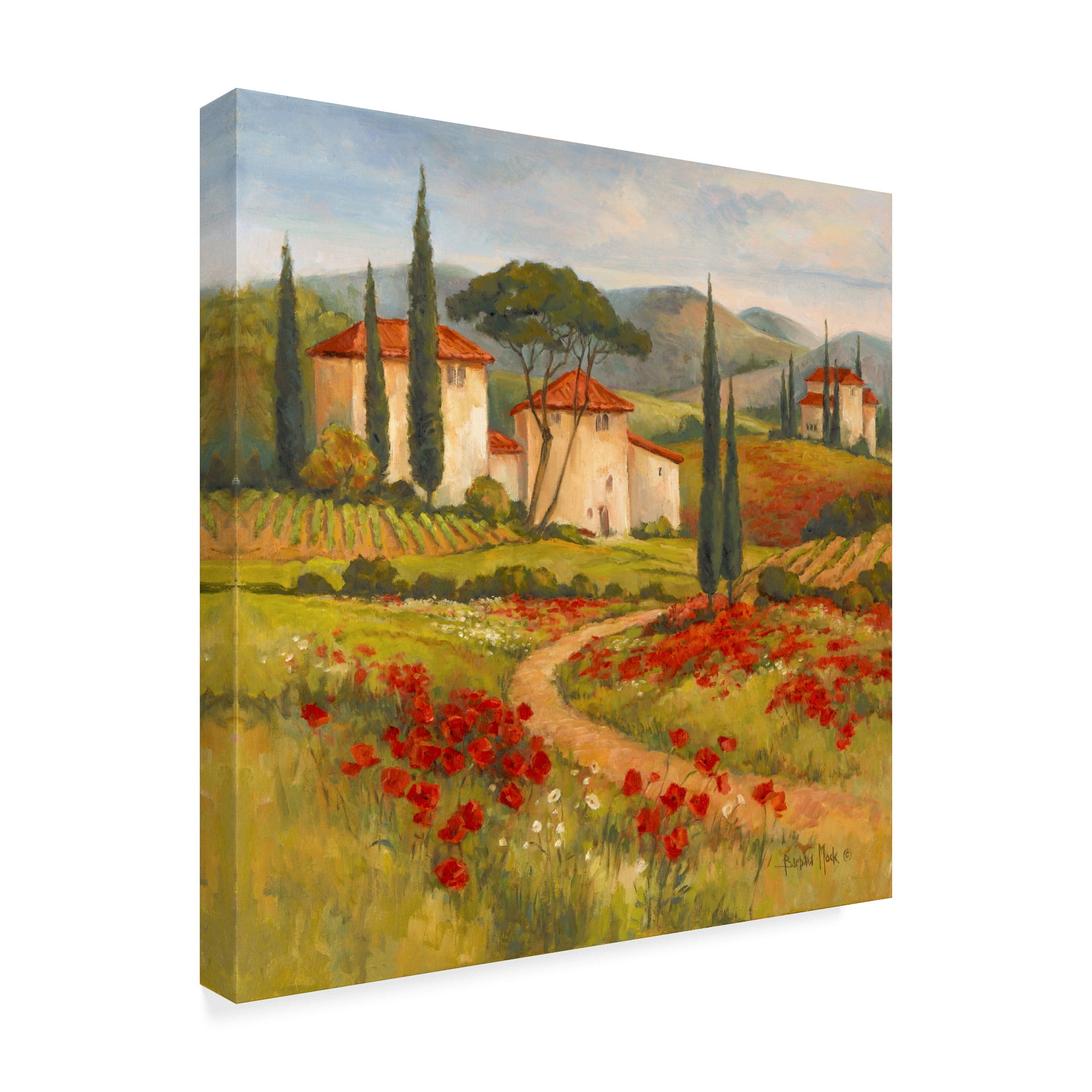 Trademark Fine Art ' Tuscan Dream' Canvas Art by Barbara Mock