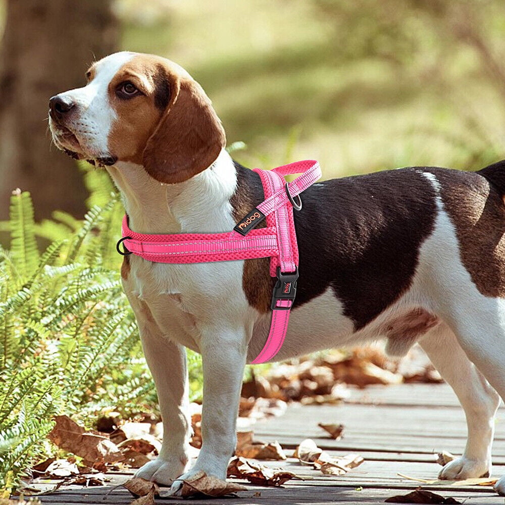 Pet Artist No Pull Dog Pet Dog Harness Reflective Nylon Mesh Padded with Handle Front Leading
